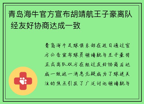 青岛海牛官方宣布胡靖航王子豪离队 经友好协商达成一致