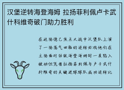 汉堡逆转海登海姆 拉扬菲利佩卢卡武什科维奇破门助力胜利